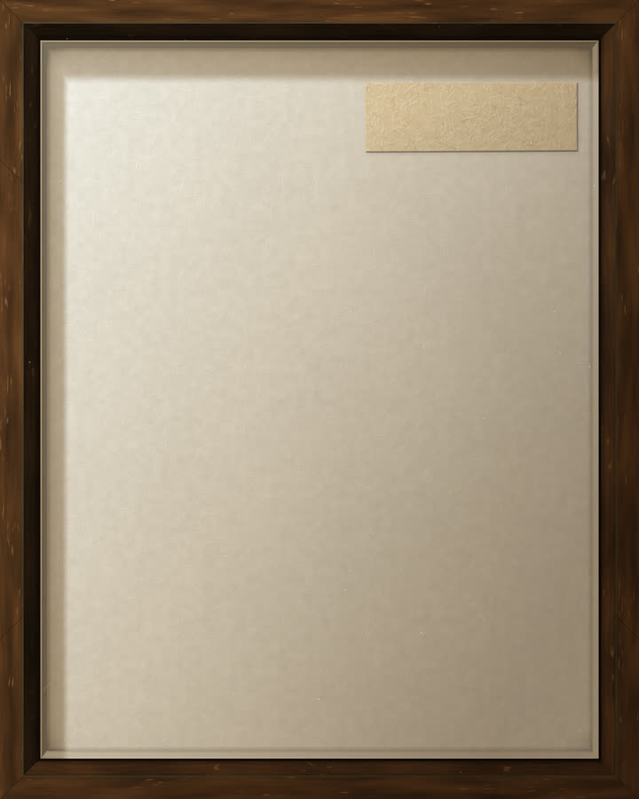An empty specimen drawer, about to draw an emperor dragonfly